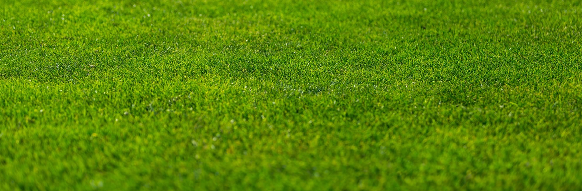 Expert Lawn Care, Concrete & Fencing Services